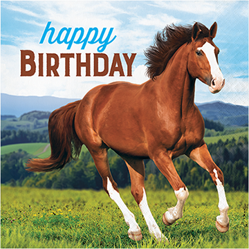 Horse and Pony Lunch Napkins Happy Birthday
