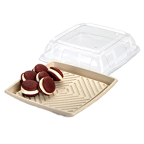 Small Square Pulp Platter With PET Lid