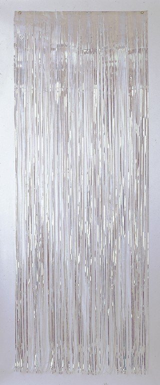 Door Curtain Metallic - Iridescent