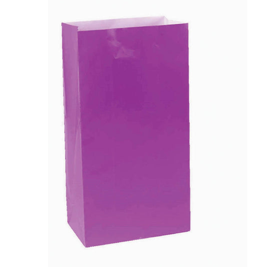 Large Paper Treat Bags New Purple