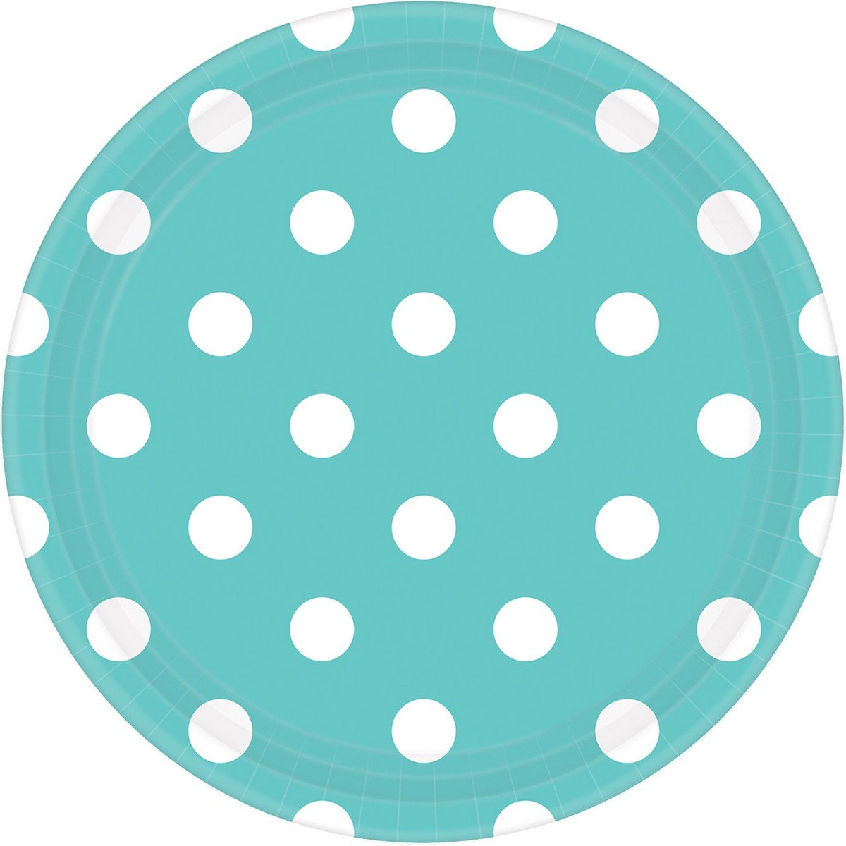 Dots 17cm Round Paper Plates Robin's Egg Blue