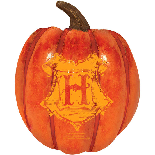 Harry Potter Foam Pumpkin