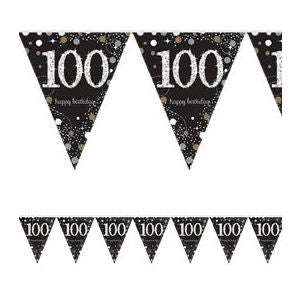 Sparkling Celebration 100 Prismatic Pennant Banner - Plastic